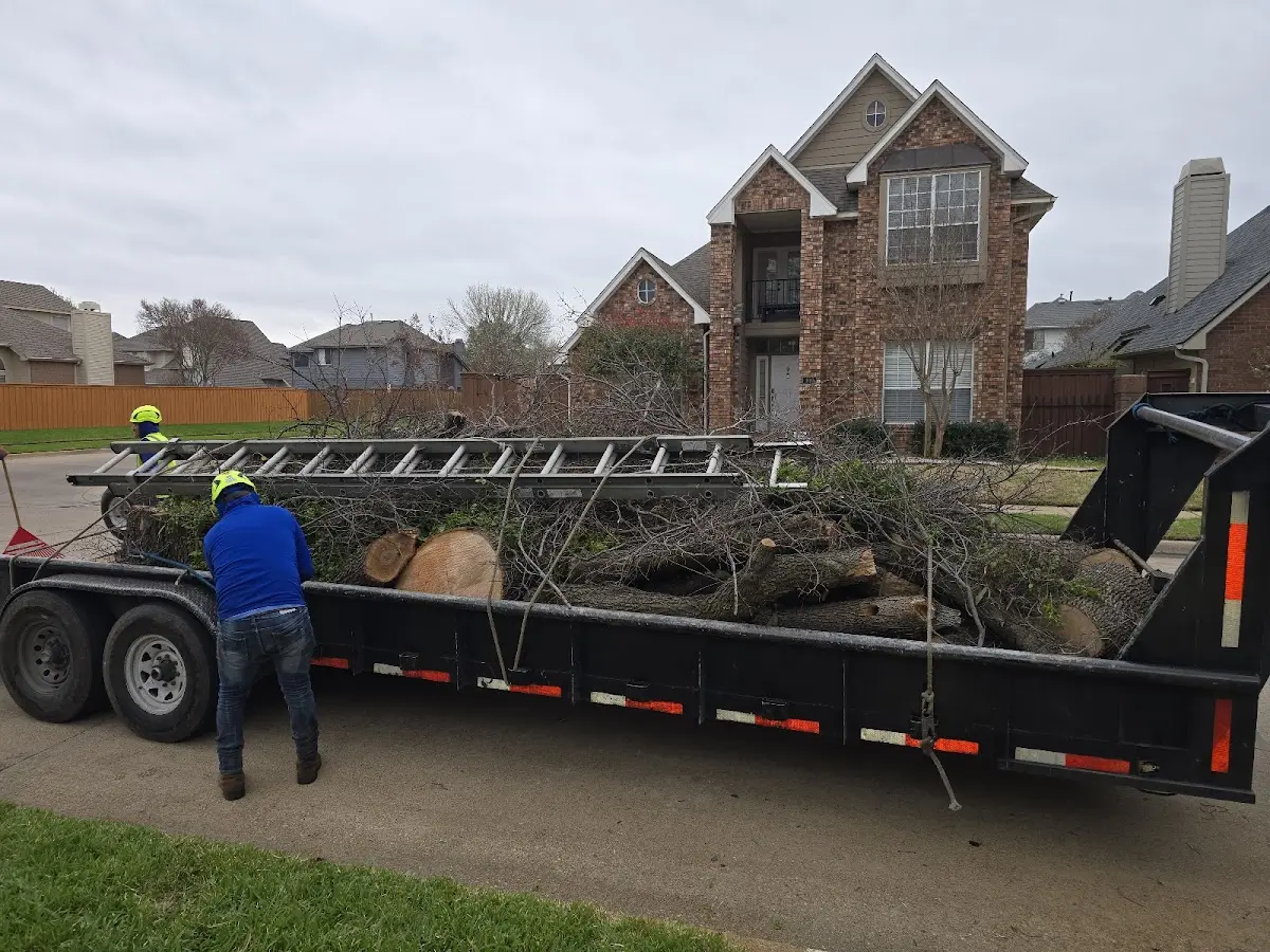 Expert Crown Reduction with proper safety equipment in Grand Prairie